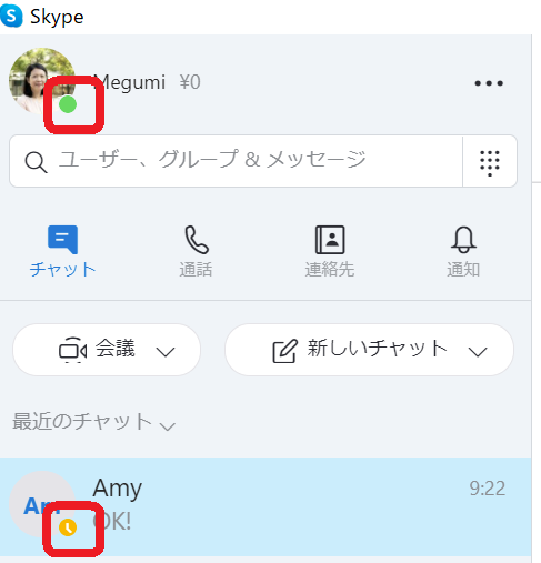 Skype画面